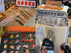 -武汉知音号