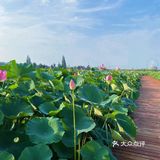 无锡周边游推荐小众地之马家荡