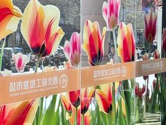 -西北轻工批发市场