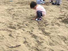 -杭州城北体育公园