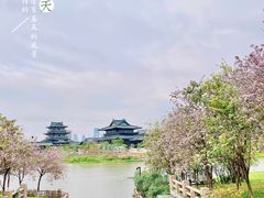 -海珠湖公园