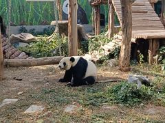-南昌动物园