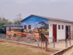 -西安秦岭野生动物园