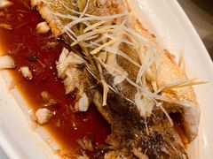 清蒸大黄花鱼-渔家颂歌渔家味道(青石路店)