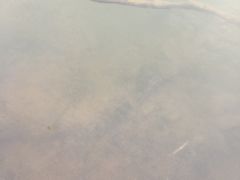 -碧水湾温泉