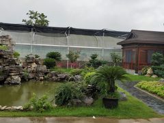 -呼吸森林·生态农庄农家乐私房菜