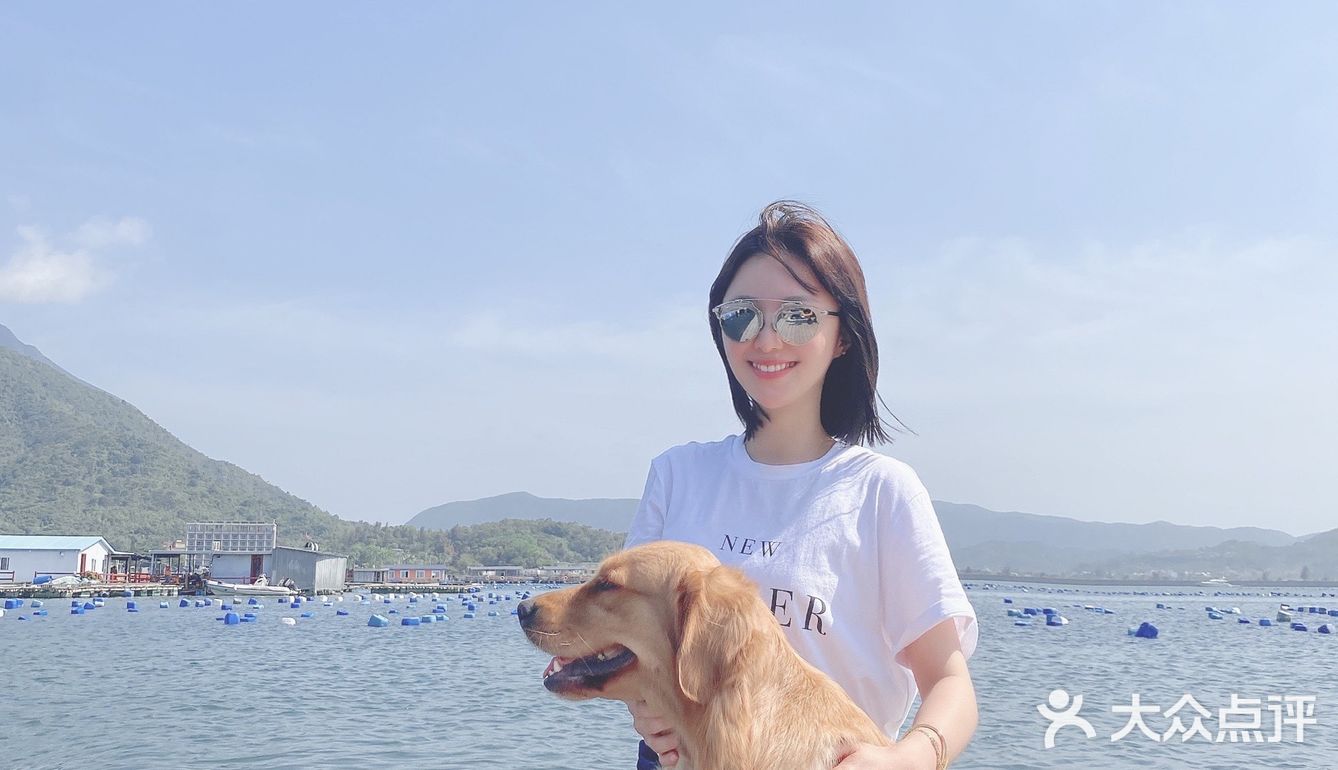 2020最后一天写给汪星人