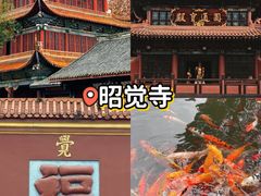 -鸿运兔·手撕烤兔(天府广场店)