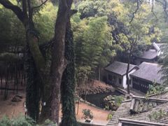 -小田乌鱼排(济宁总店)