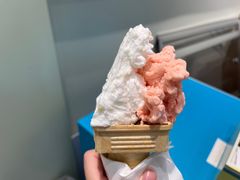 -柠檬车露(卖草地店)