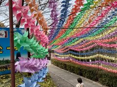 -西安汉城湖景区