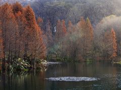 -汤山温泉房车营地 茶温泉