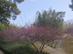 -普陀山风景名胜区-法雨禅寺
