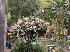 -大妙火锅·非物质文化遗产(东湖公园店)