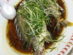 -凤城礼记鱼翅海鲜酒家(新马路总店)