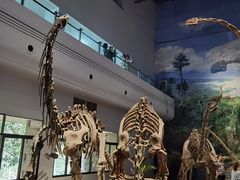 -自贡恐龙博物馆