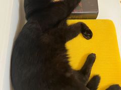 -五进制 Coffee Shop