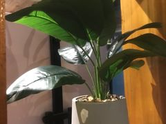-梵猫·新养生(福州万象城店)