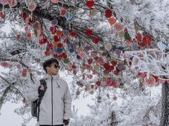 -雁荡山风景名胜区