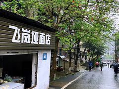 -铁山坪森林公园