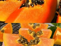 -羊栏农贸市场(羊新路店)