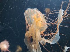 -成都浩海立方海洋公园