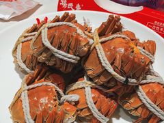 -杨氏青龙虾·羊蝎子(金盛路总店)