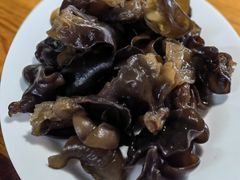 黑木耳-麒麟羊庄酒店内庭院(新风街豪威麒麟店)