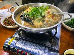 -全乐鱼馆·淳牌有机鱼直营店
