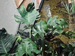 -邈墨茶馆(凤起路店)