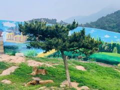 -西霞口神雕山野生动物世界