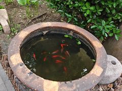 -正阳书局(西四南大街店)