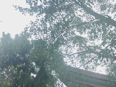 -南宁花花大世界景区