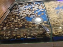 -万象·复兴号鲜肉烤肉海鲜自助(升级店)