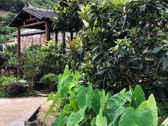 -Encore Cafe&Bar安可咖啡