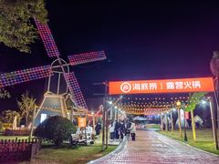 -荷兰花海