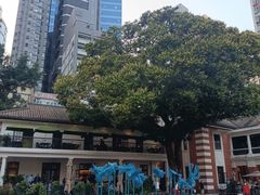 -大馆(前中区警署建築群)