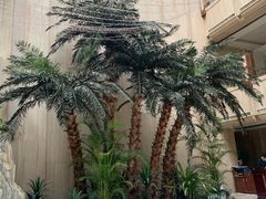 -嘉莱特和平国际酒店自助餐