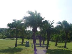 -鹅銮鼻公园