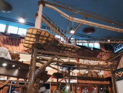 -卡通尼·Safari非洲探索乐园·生日会(金桥国际商业广场店)