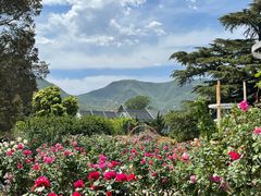 -国家植物园南园