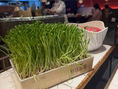 -捞神煲汤火锅(湖滨商业街店)