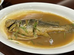 -良友·海鲜青岛菜·海肠捞饭(五四广场店)