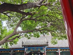 -张学良旧居陈列馆