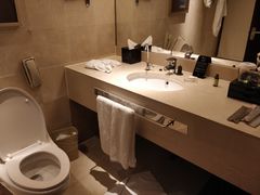 -广州白云机场雅高铂尔曼大酒店