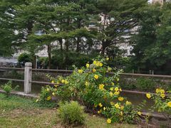 -晓港公园