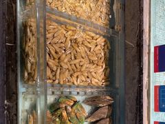 门面-尚海豆捞(乐虹坊店)