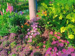 -上海共青森林公园