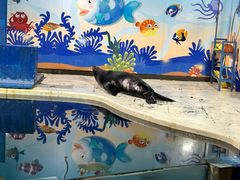 -太平洋海底世界