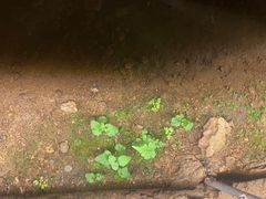 -寻龙山风景旅游区